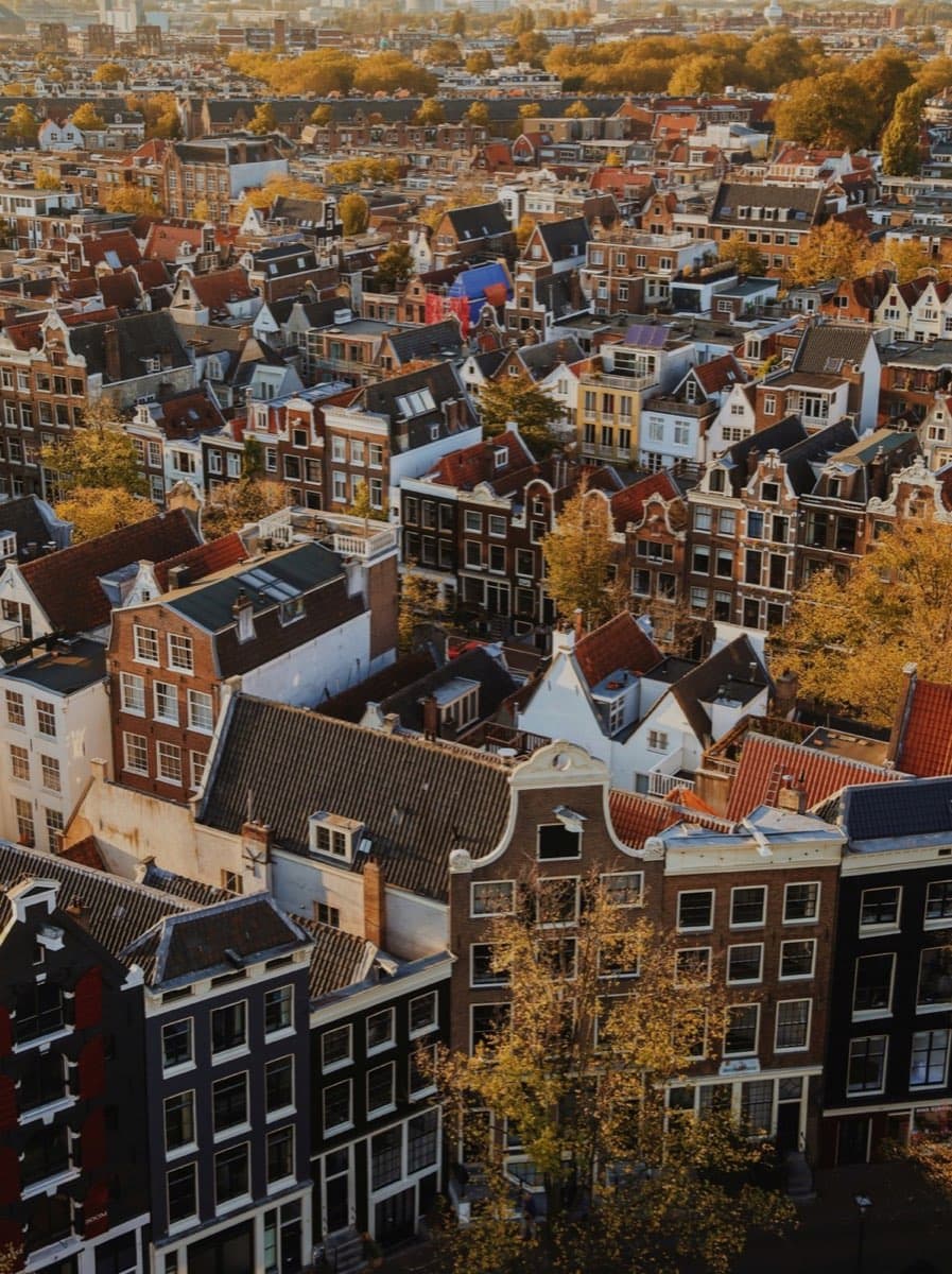 Kamer huren met een huisdier in Amsterdam: zo pak je het aan