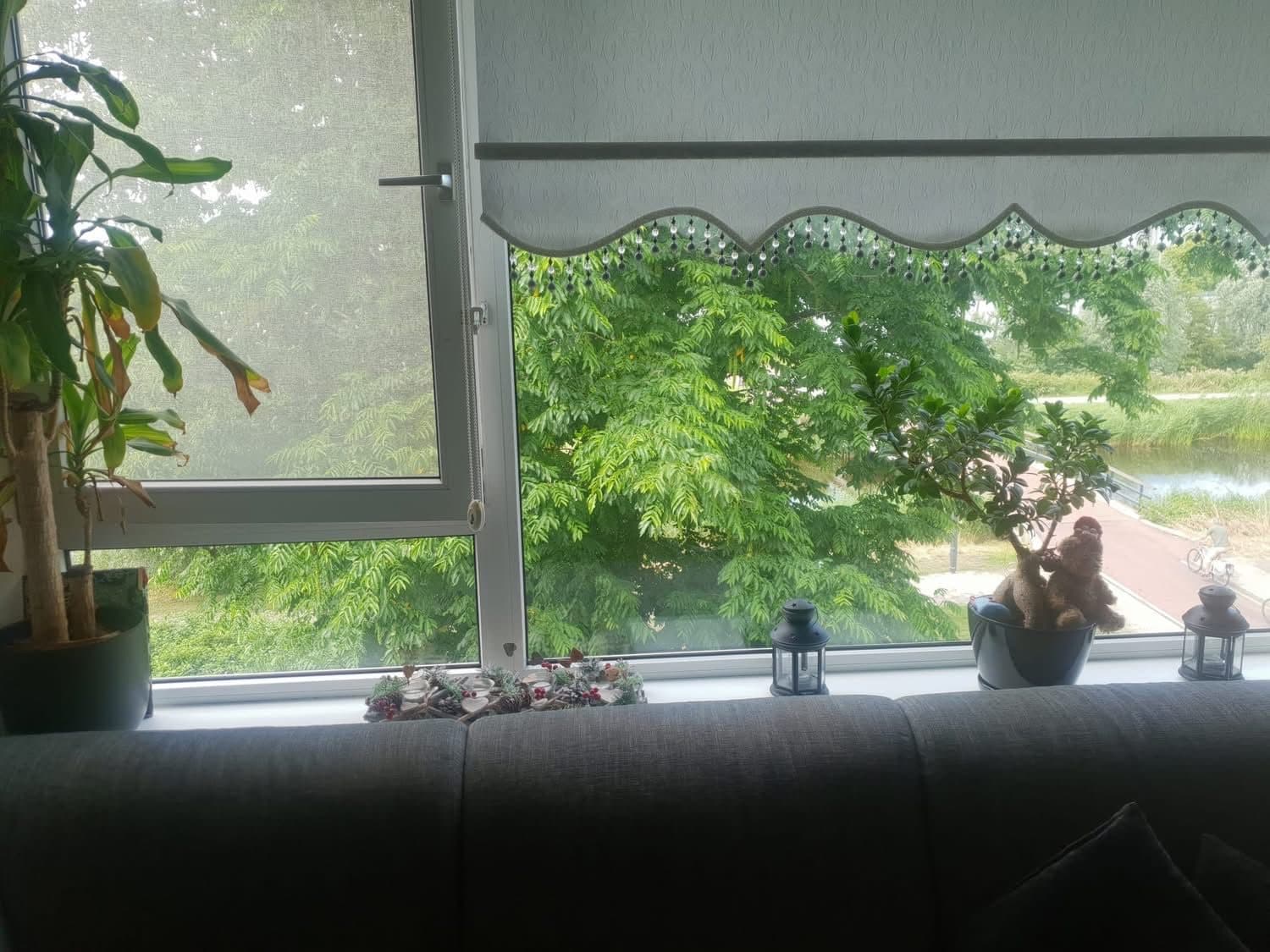 Room in Diemen, foto 4